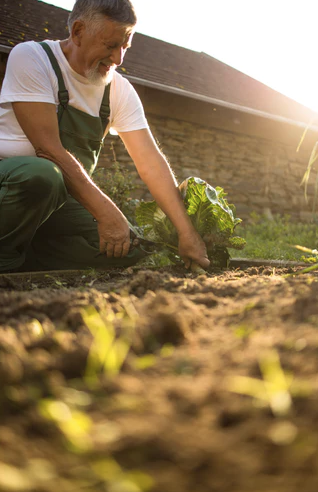 Dive into Regenerative Gardening with GreenGro