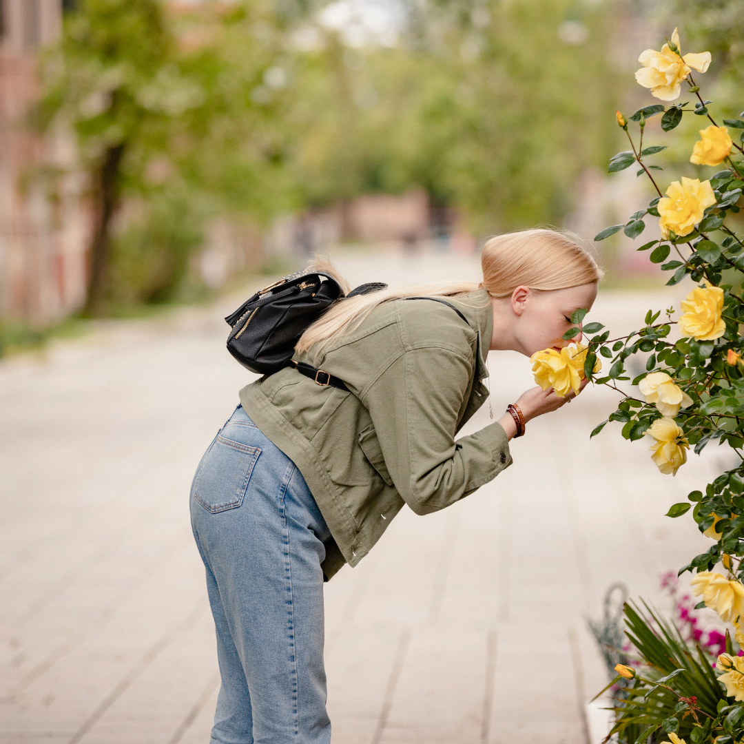 How to establish Roses this Season!