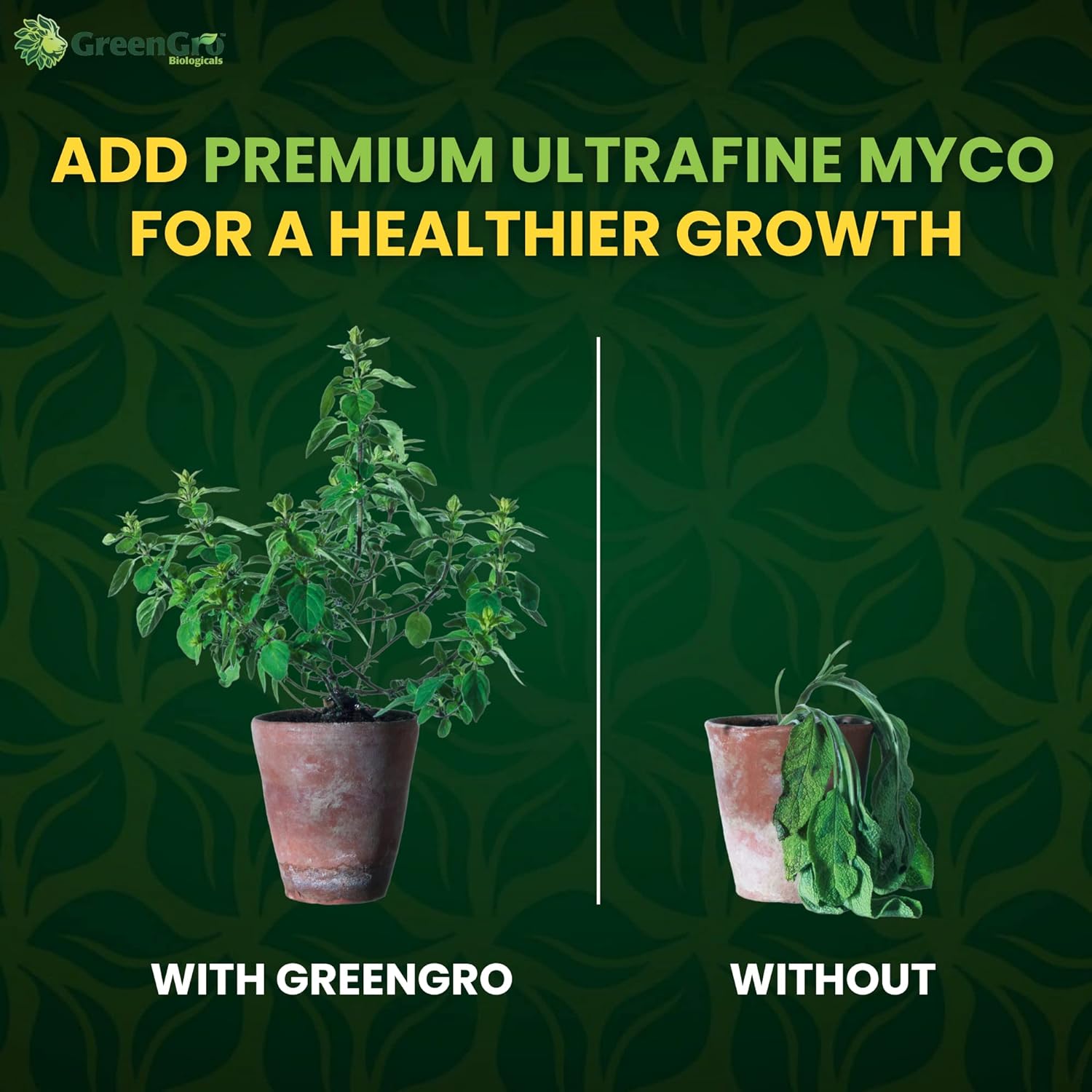 Premium Ultrafine Myco - Mycorrhizal Inoculant & Water Soluble Root Enhancer