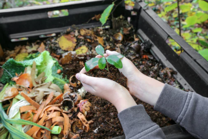 How to build a Compost bin at Home