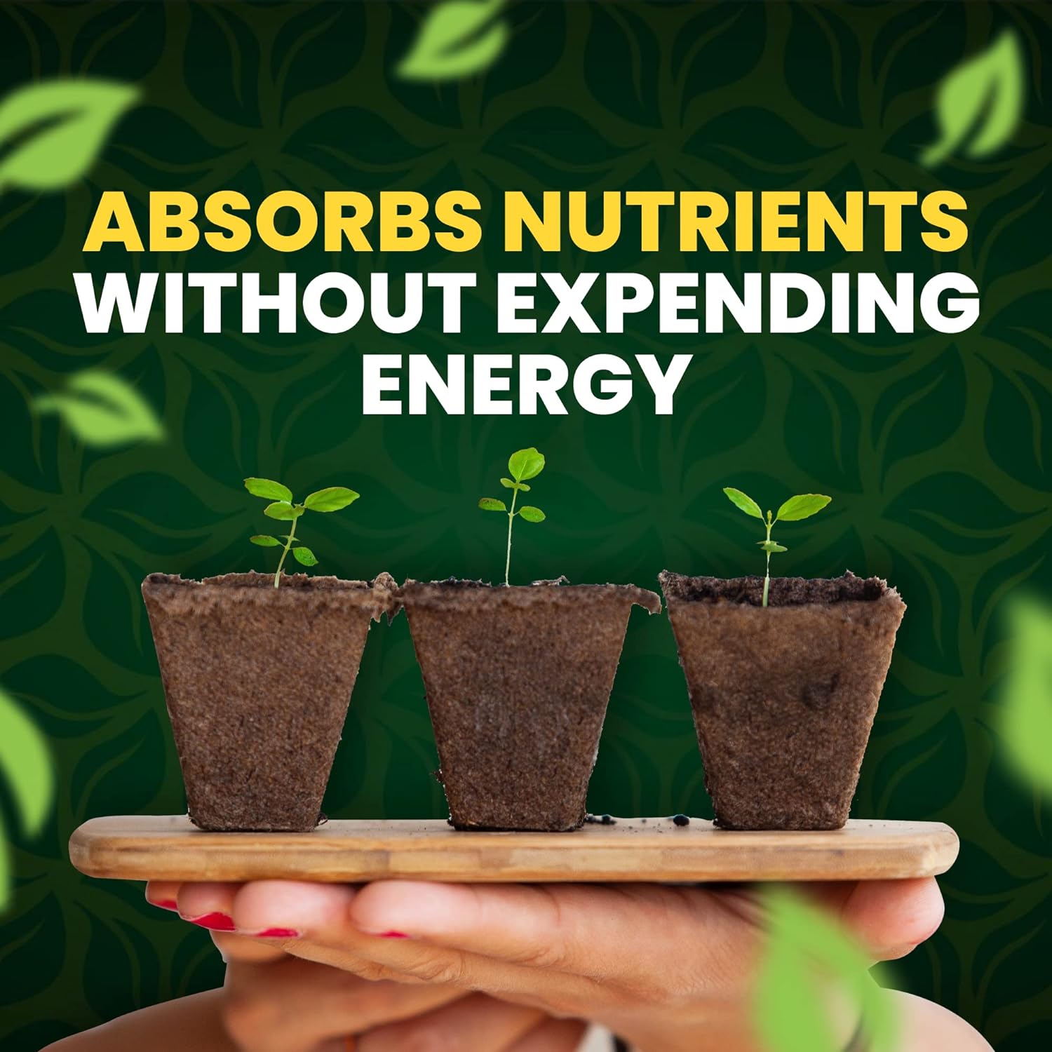 Green Aminos Rooting Stimulator Blend with Amino Acids and Nutrients